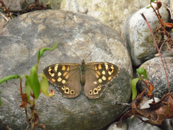 Parco del ticino 4-8-12